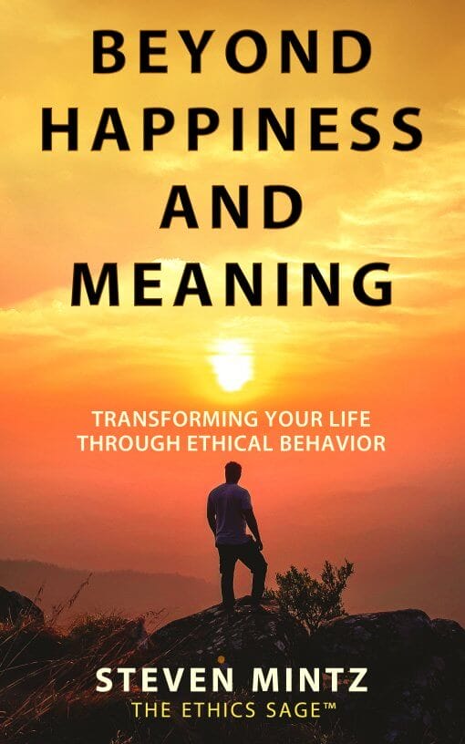 Beyond Happiness and Meaning by Steven Mintz