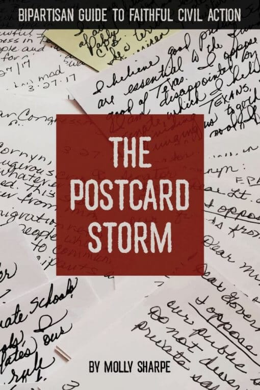 The Postcard Storm by Molly Sharpe