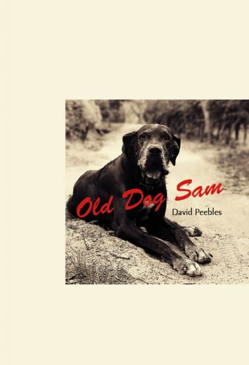 Old Dog Sam, 9781619846807, Paperback