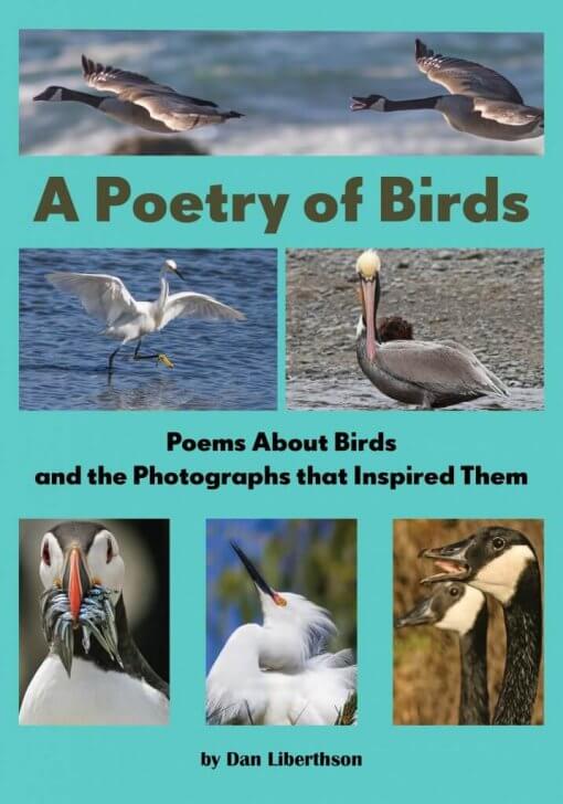 A Poetry of Birds, 9780978768348, Hardcover