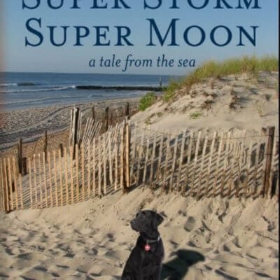 Super Storm, Super Moon, 9781619847033, Paperback