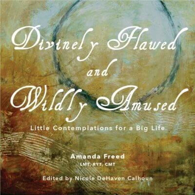 Divinely Flawed and Wildly Amused, 9781619847583, Hardcover