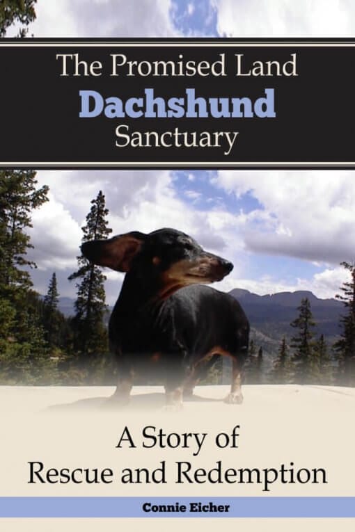 The Promised Land Dachshund Sanctaury: A Story of Rescue and Redemption, 9781532309472, Paperback (LSI)