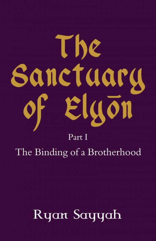 The Sanctuary of Elyon: Part 1, 9781642371055, Paperback