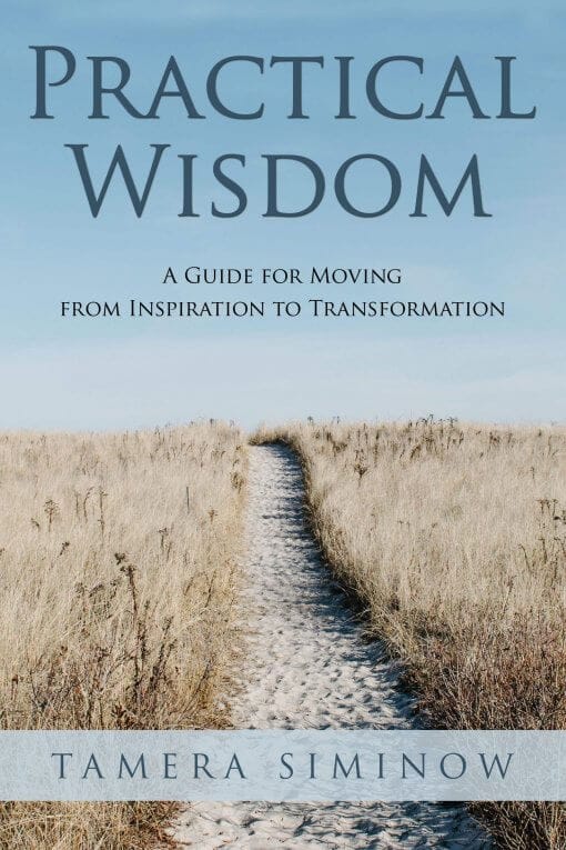 Practical Wisdom, 9781619848573, Paperback